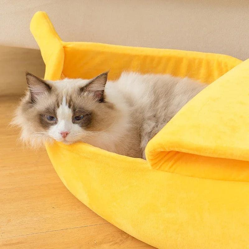 Cama de Banana para Gatos e Cachorros - Web Confiança