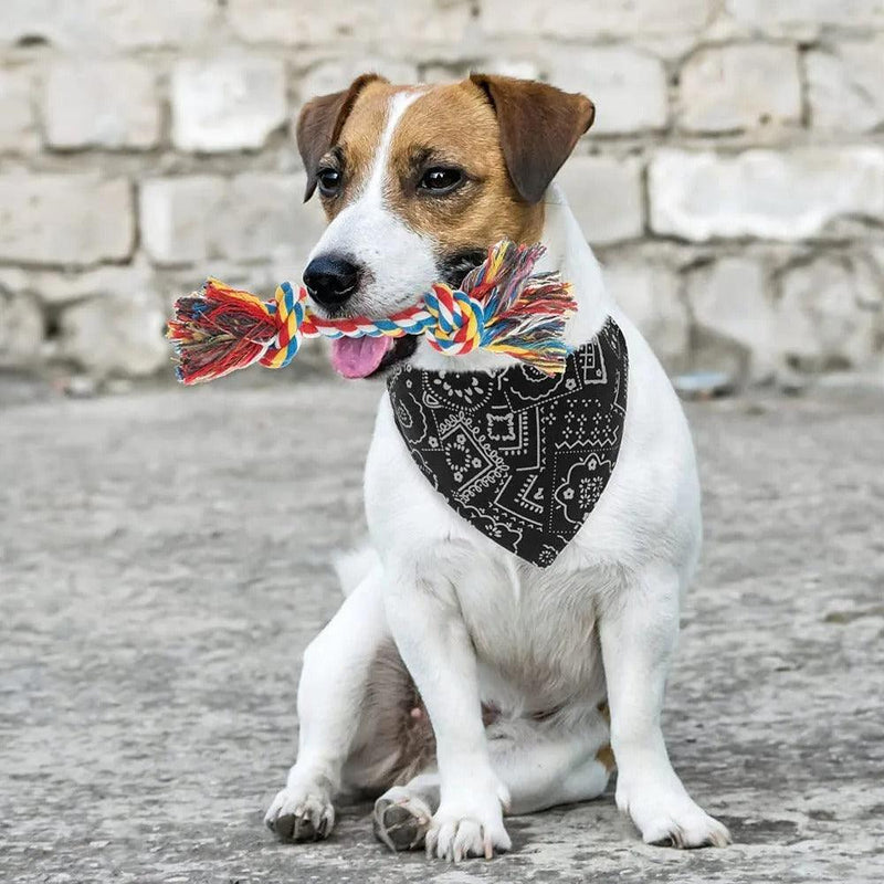 Bandana Ajustável para Cachorros - Web Confiança