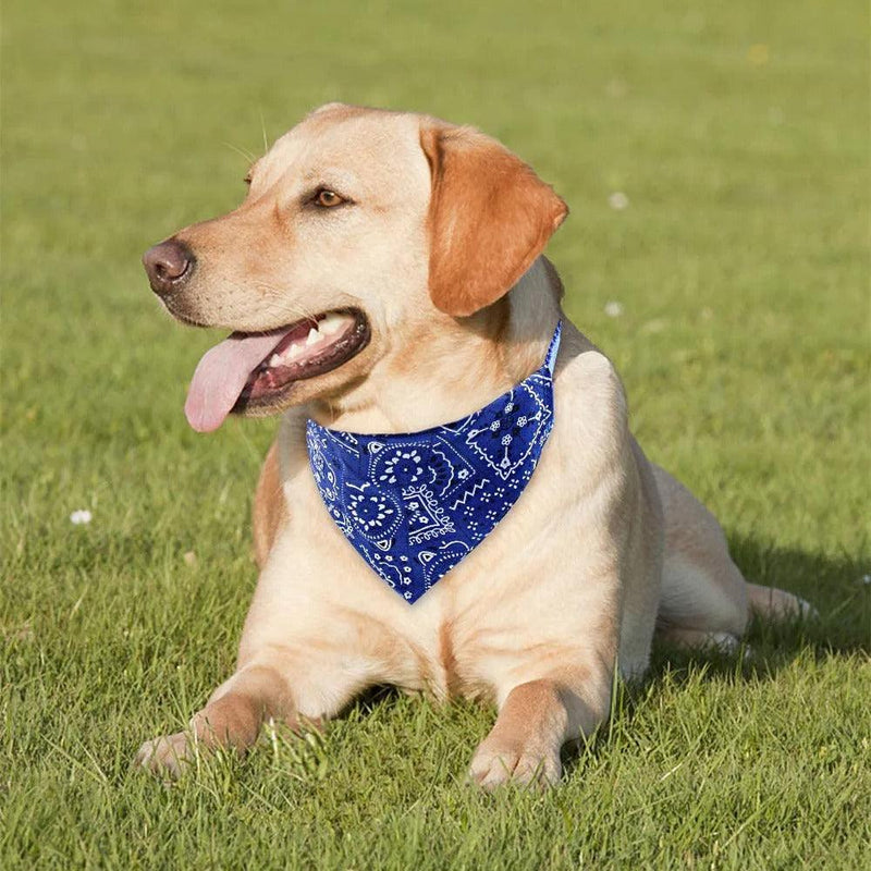 Bandana Ajustável para Cachorros - Web Confiança